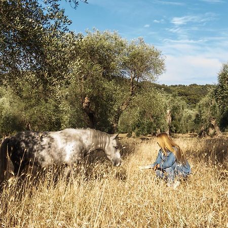 Casa Masseria Le Ville Peschici Zewnętrze zdjęcie